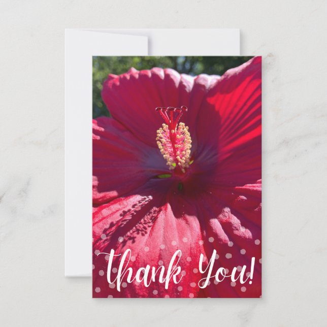 A Hint of Z "Thank You" card (Front)