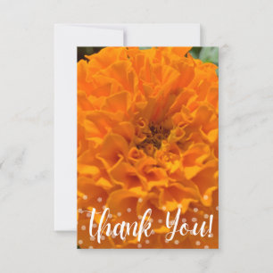 A Hint of Z "Thank You" card