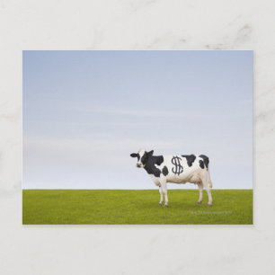 A Holstein Dairy cow with spots in the shape of Postcard