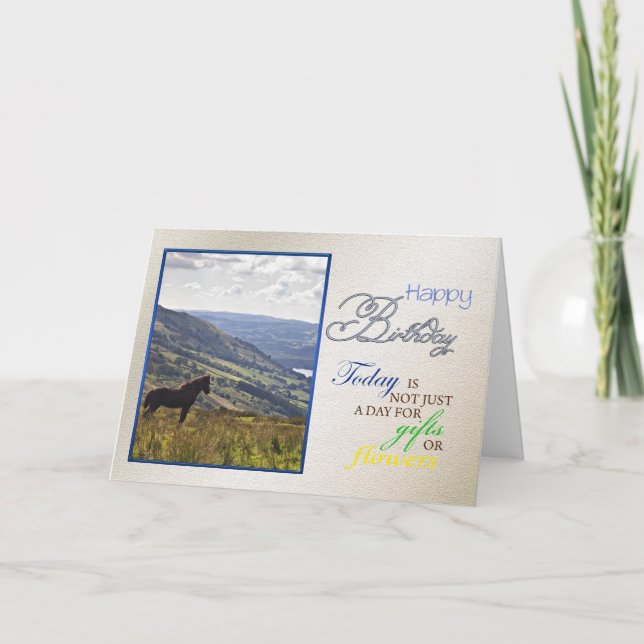 A horse birthday card. card (Front)
