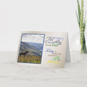 A horse birthday card for dad.