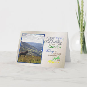 A horse birthday card for Grandpa.
