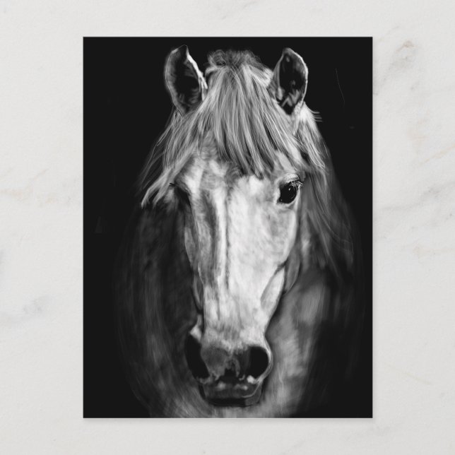 A Horse Called Elvis Postcard (Front)