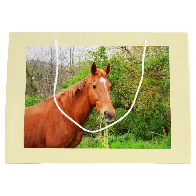 A horse called Orion Large Gift Bag (Front)