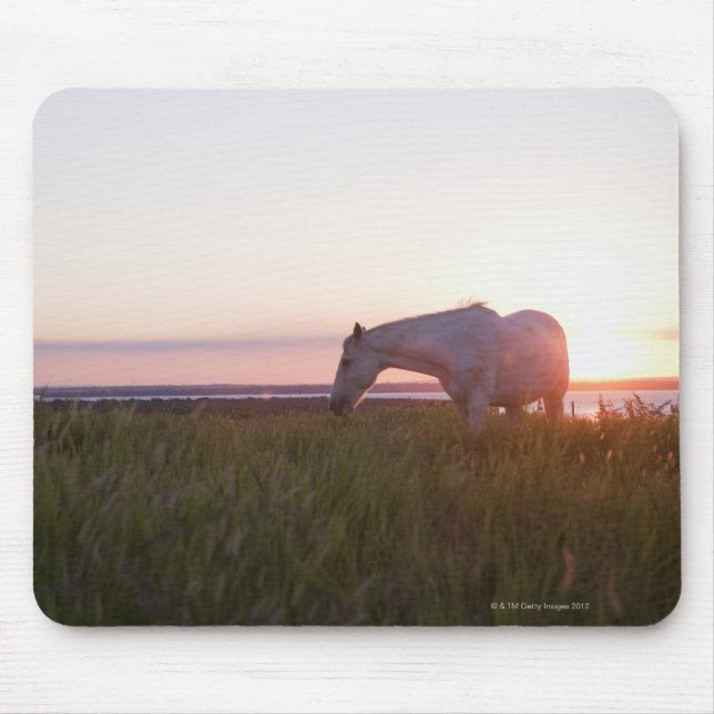 A horse in a field mouse pad (Front)