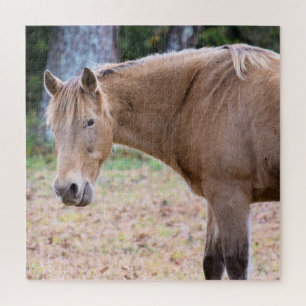 A Horse is a Horse of Course - 20x20 inch Jigsaw Puzzle