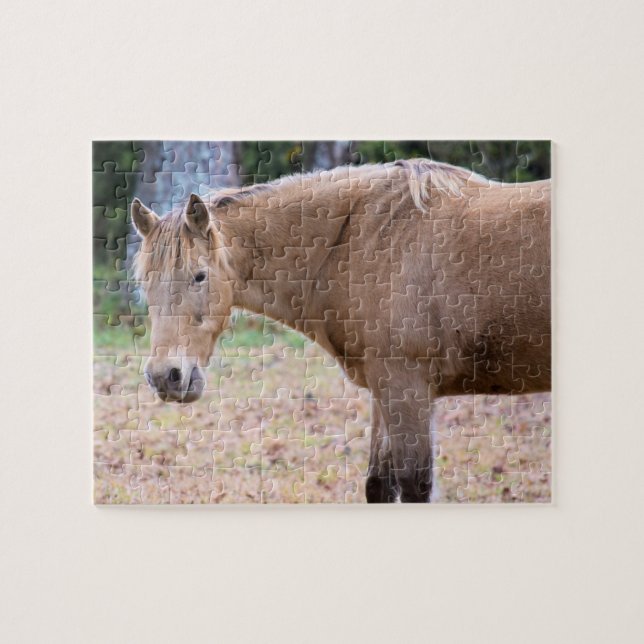 A Horse is a Horse, of Course  -  8x10 inch Jigsaw Puzzle (Horizontal)