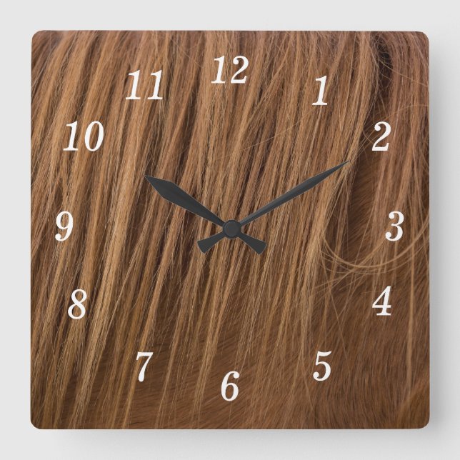 A Horse Mane Wall Clock (Front)