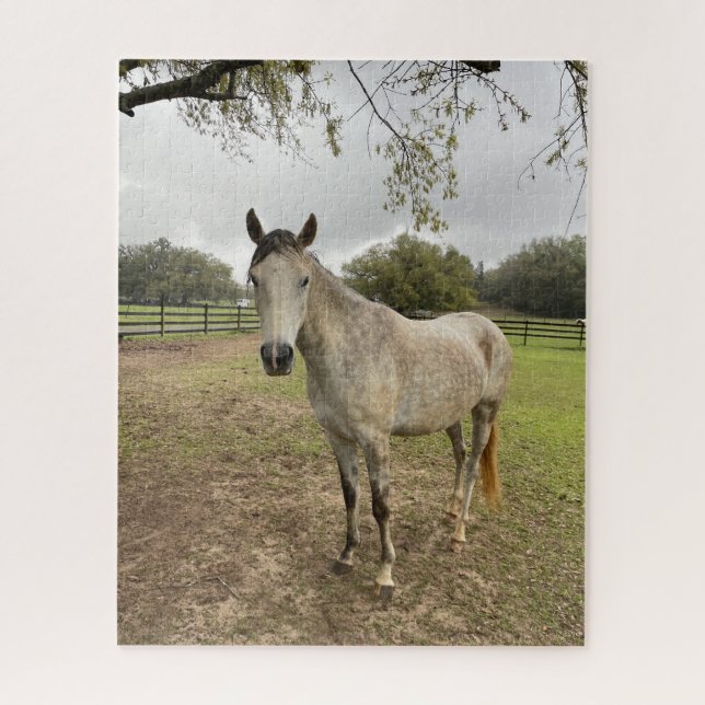 A horse near a pasture  jigsaw puzzle (Vertical)