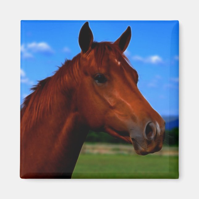 A horse standing proud magnet (Front)