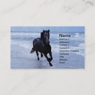 A horse wild and free business card