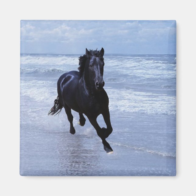 A horse wild and free magnet (Front)