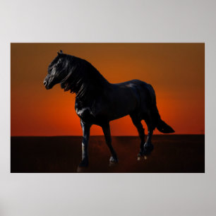 A horses sunset romp poster