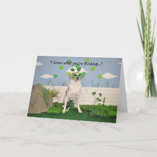 A humourous card, dog dressed for St pat's day. Card