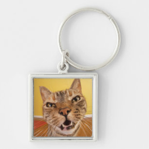 A humourous little cat sits on a stool in a key ring