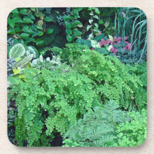 A Hundred Shades of Green-Green is Beautiful Coaster