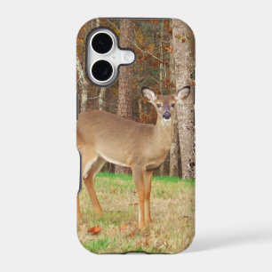 A Hunter's Dream Deer