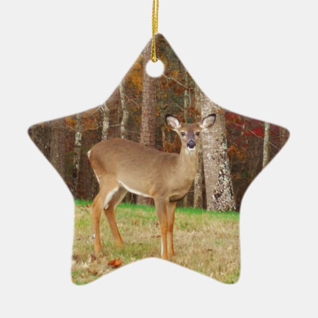 A Hunter's Dream Deer Ceramic Tree Decoration (Front)