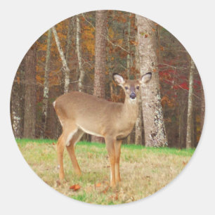 A Hunter's Dream Deer Classic Round Sticker