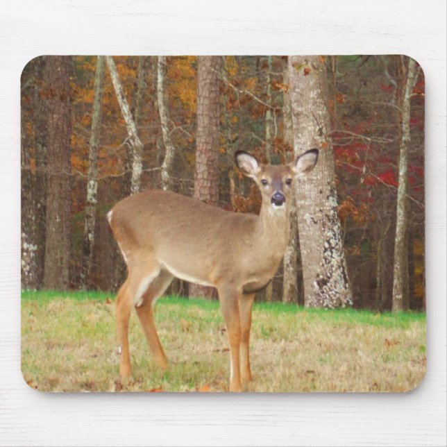 A Hunter's Dream Deer Mouse Pad (Front)