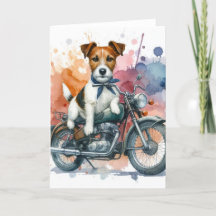 A Jack Russell on a Bike