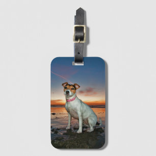 A Jack Russell Sitting Beach Brighton Beach Luggage Tag