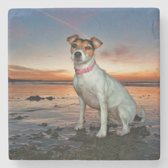 A Jack Russell Sitting Beach | Brighton Beach Stone Coaster (Front)