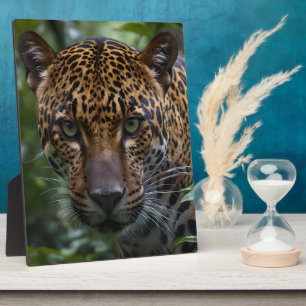 A Jaguar Is Stalking In The Forest, Plaque