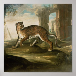 A Jaguar Poster