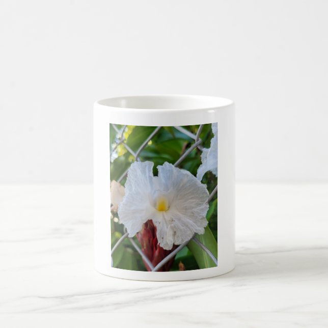 A jailed beauty coffee mug (Center)