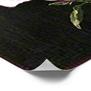 A Japanese Magnolia Poster