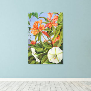A Javan Rhododendrum and Ipomoea Canvas Print