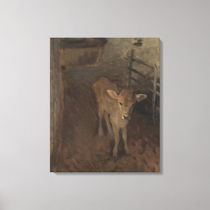 A Jersey Calf Canvas Print