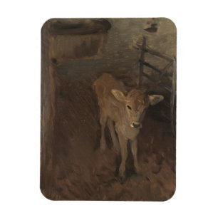 A Jersey Calf Magnet