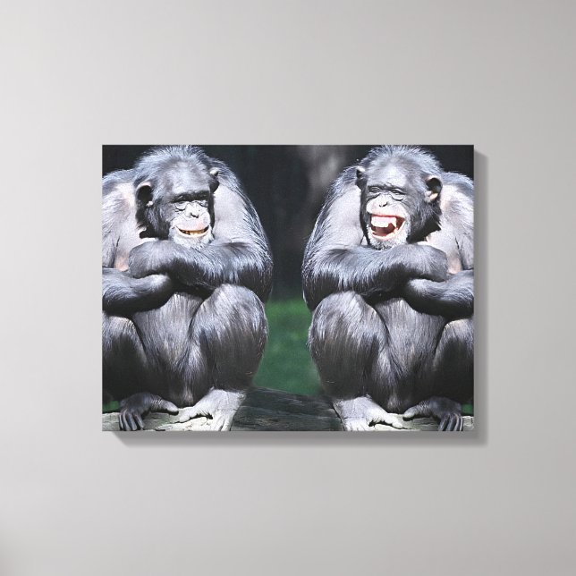 A Joke Between Friends Canvas Print (Front)