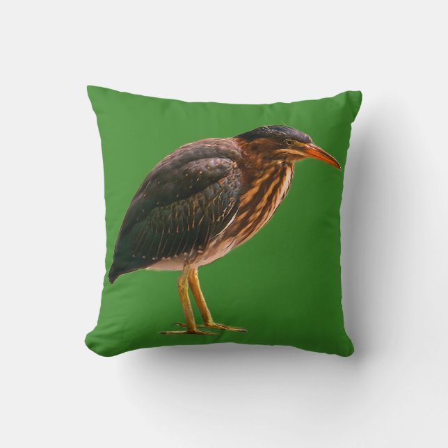 A juvenile Green Heron  Cushion (Front)