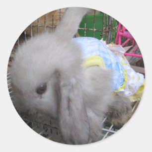 A Kawaii Baby Rabbit in a Dress Classic Round Sticker