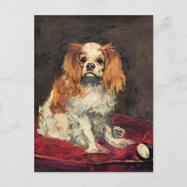 A King Charles Spaniel, fine art Postcard (Front)