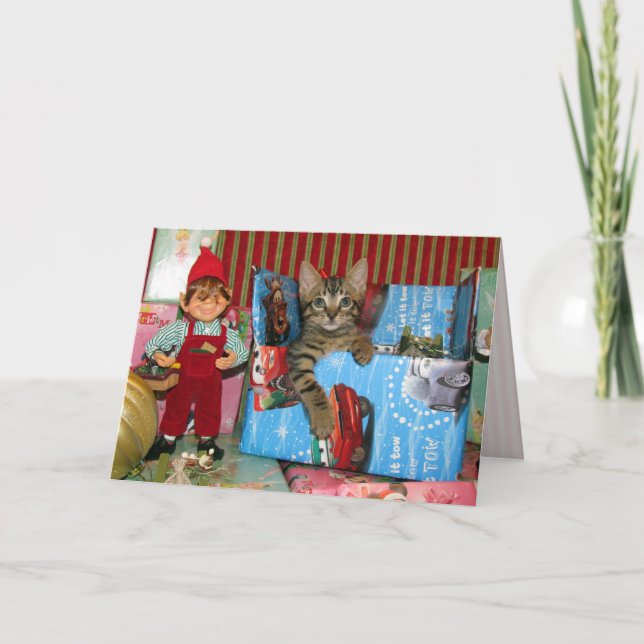 A Kitten is a Gift - Cat / Kitten Christmas Card (Front)