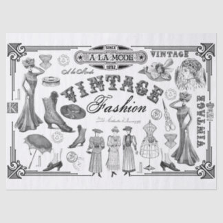 A la Mode Tissue Paper