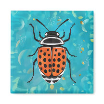 A ladybug with black spots and orange stripes