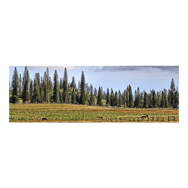 A Lanai Ranch Panoramic Photo Print (Front)