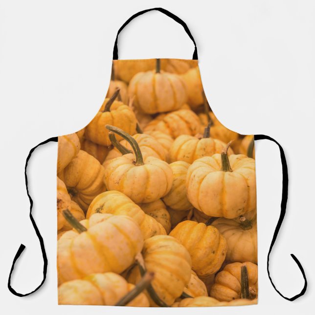 A large amount of Pumpkins Apron (Front)