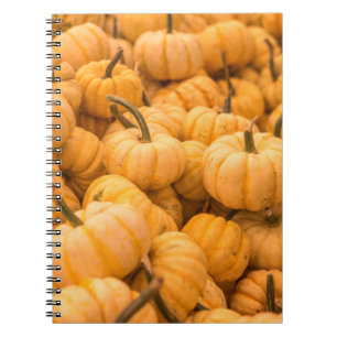 A large amount of Pumpkins Notebook