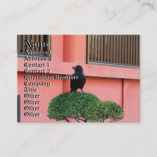 A Large-Billed Jungle Crow A Perch On A Cloud Tree Business Card (Front)