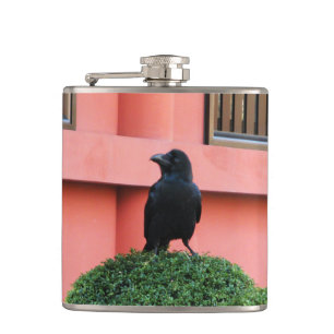 A Large-Billed Jungle Crow A Perch On A Cloud Tree Hip Flask