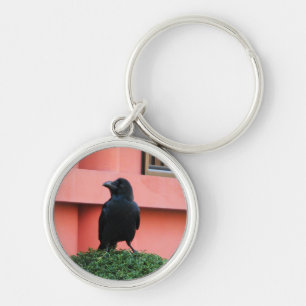 A Large-Billed Jungle Crow A Perch On A Cloud Tree Key Ring
