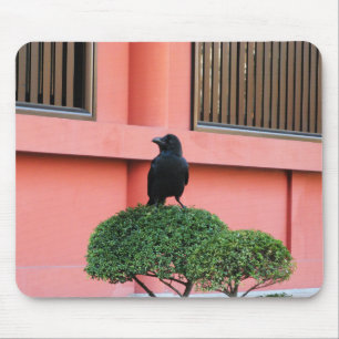 A Large-Billed Jungle Crow A Perch On A Cloud Tree Mouse Pad