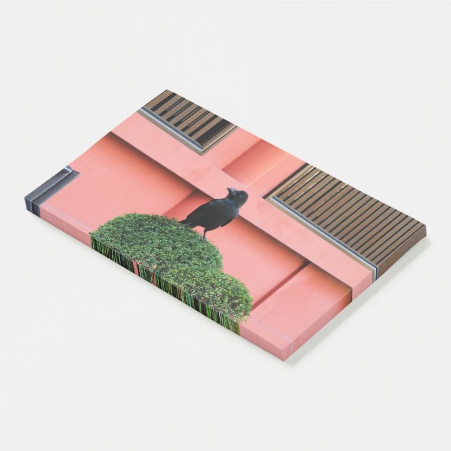 A Large-Billed Jungle Crow A Perch On A Cloud Tree Post-it Notes (Angled)