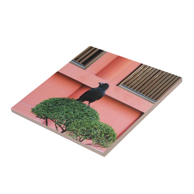 A Large-Billed Jungle Crow A Perch On A Cloud Tree Tile (Side)